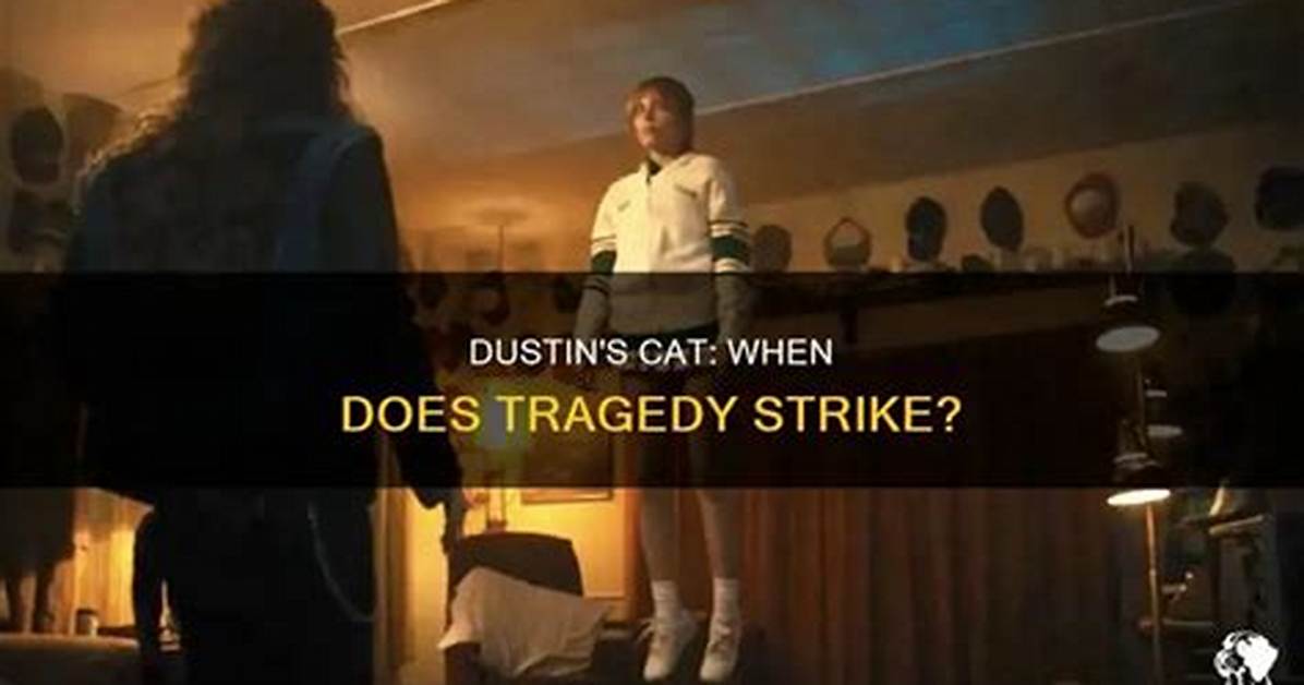 What Happened to Dustin’s Cat in Stranger Things? the Brutal Truth Behind Mews’ Death