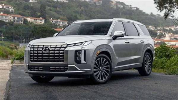 What Is a Palisade? Clarifying Hyundai's Hybrid Suv Vs. Palisade Bio's Crohn's Trials