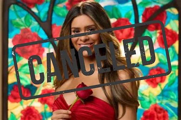 What the Taylor Frankie Paul Chair Video Actually Shows: Breakdown of the Footage and Evidence