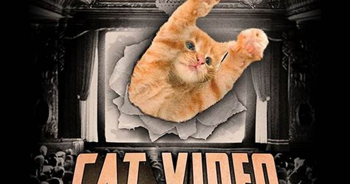 When Felines Make Headlines: Chronology of the Most Bizarre Prison Cat Stories