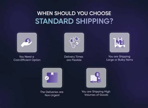 Which Shipping Line Should You Choose on Superbuy? the Definitive Guide