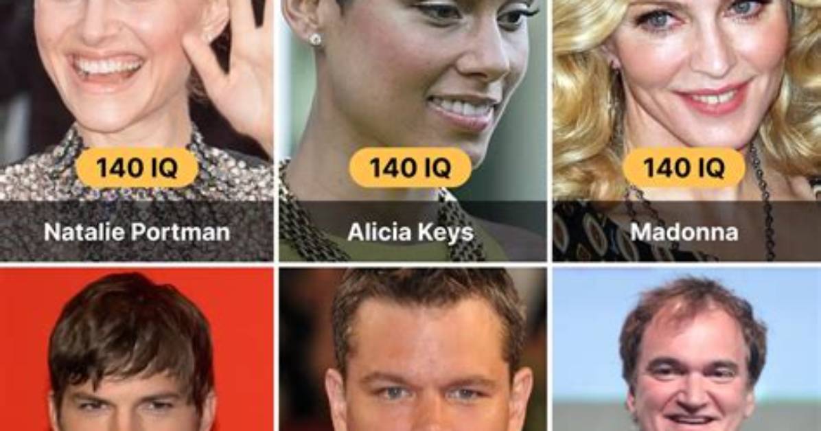 Who Has the Highest Iq in Entertainment? the Definitive Guide to Star Intellect