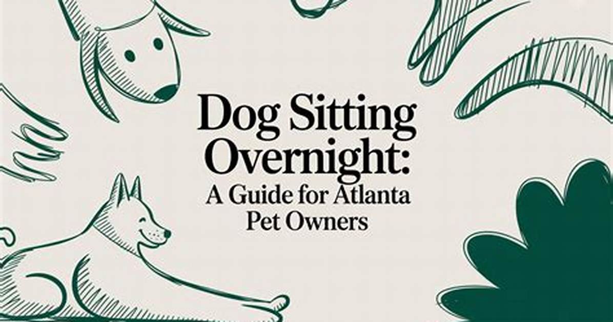 Why Atlanta Dog Owners Are Rushing to Hire Trainers Before It Is Too Late