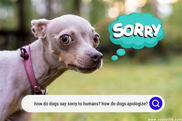 Why 'Sorry I Died Dog' Is Breaking the Internet: the Viral Heartbreak Behind Global Pet Tributes
