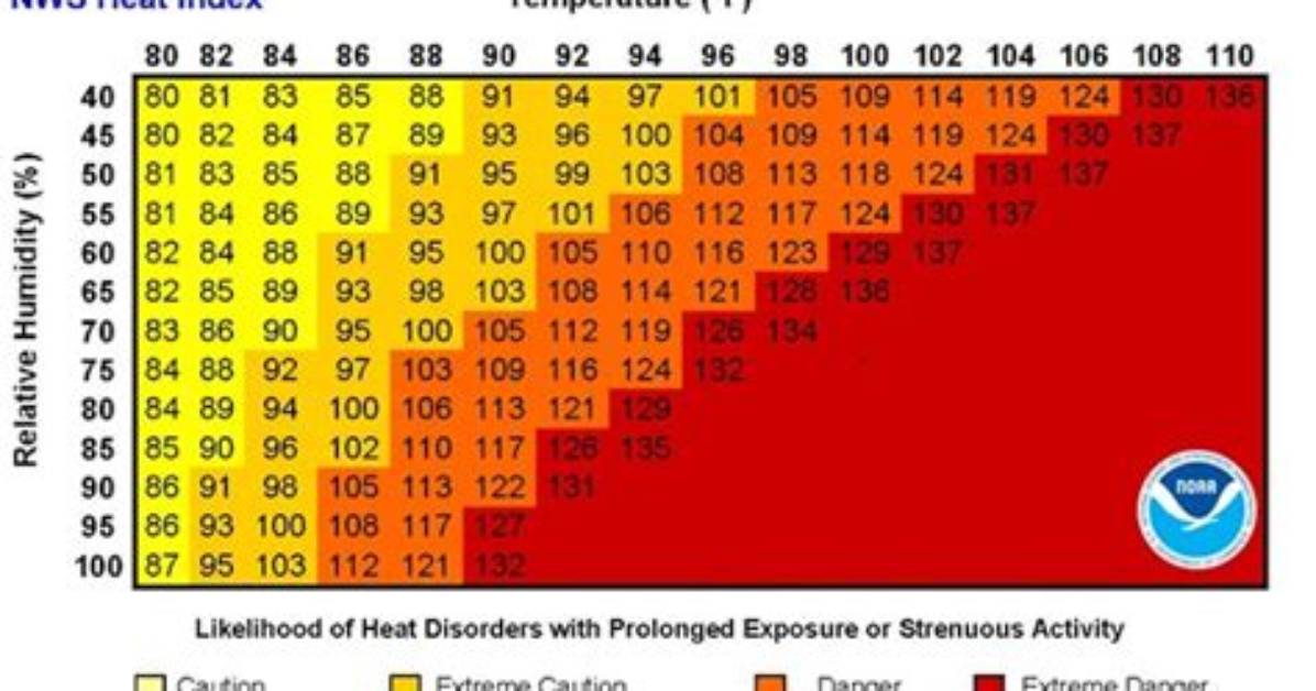 Why That Classic Heat Adage Is Dangerously Accurate: the Lethal Science of Summer Humidity