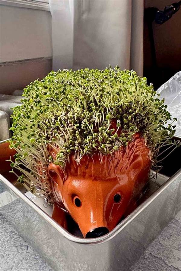 Why Your Chia Pet Fails to Sprout: the Soaking Mistake Ruining Your Planter